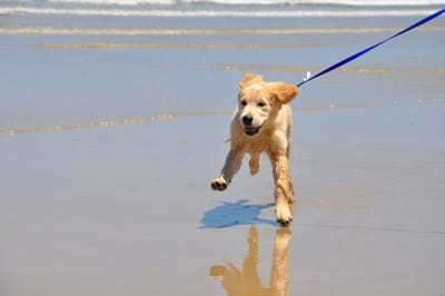 Arthritis & Pain Management