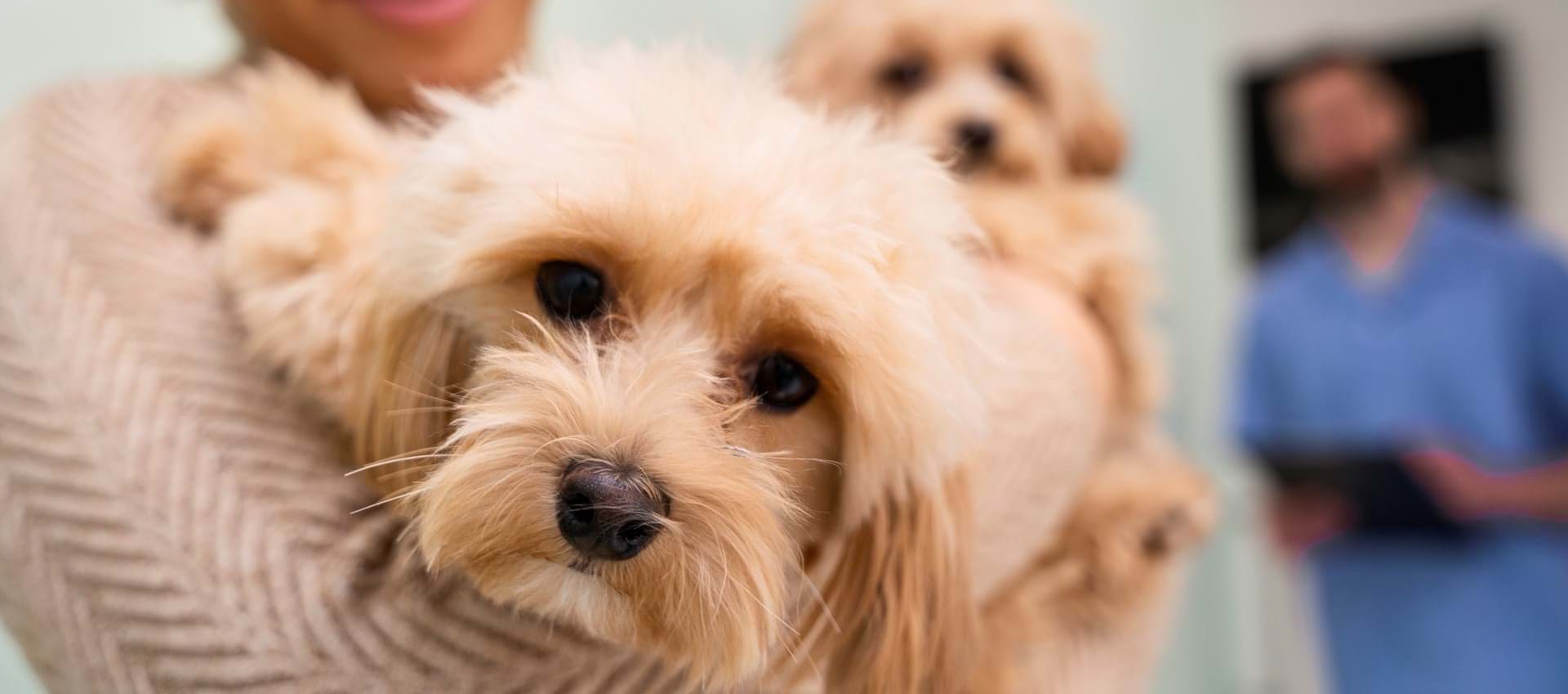 Support us to create a more compassionate society.