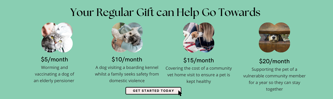 Cherished Pets Foundation | Homepage