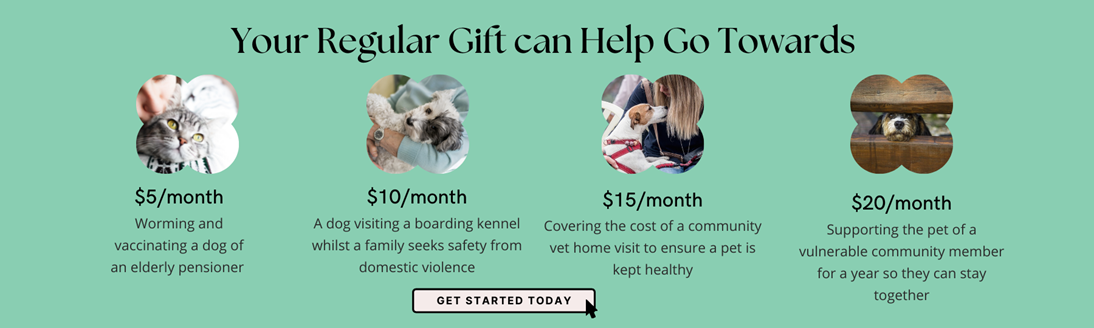 Cherished Pets Foundation | Homepage Cherished Pets Foundation | Homepage