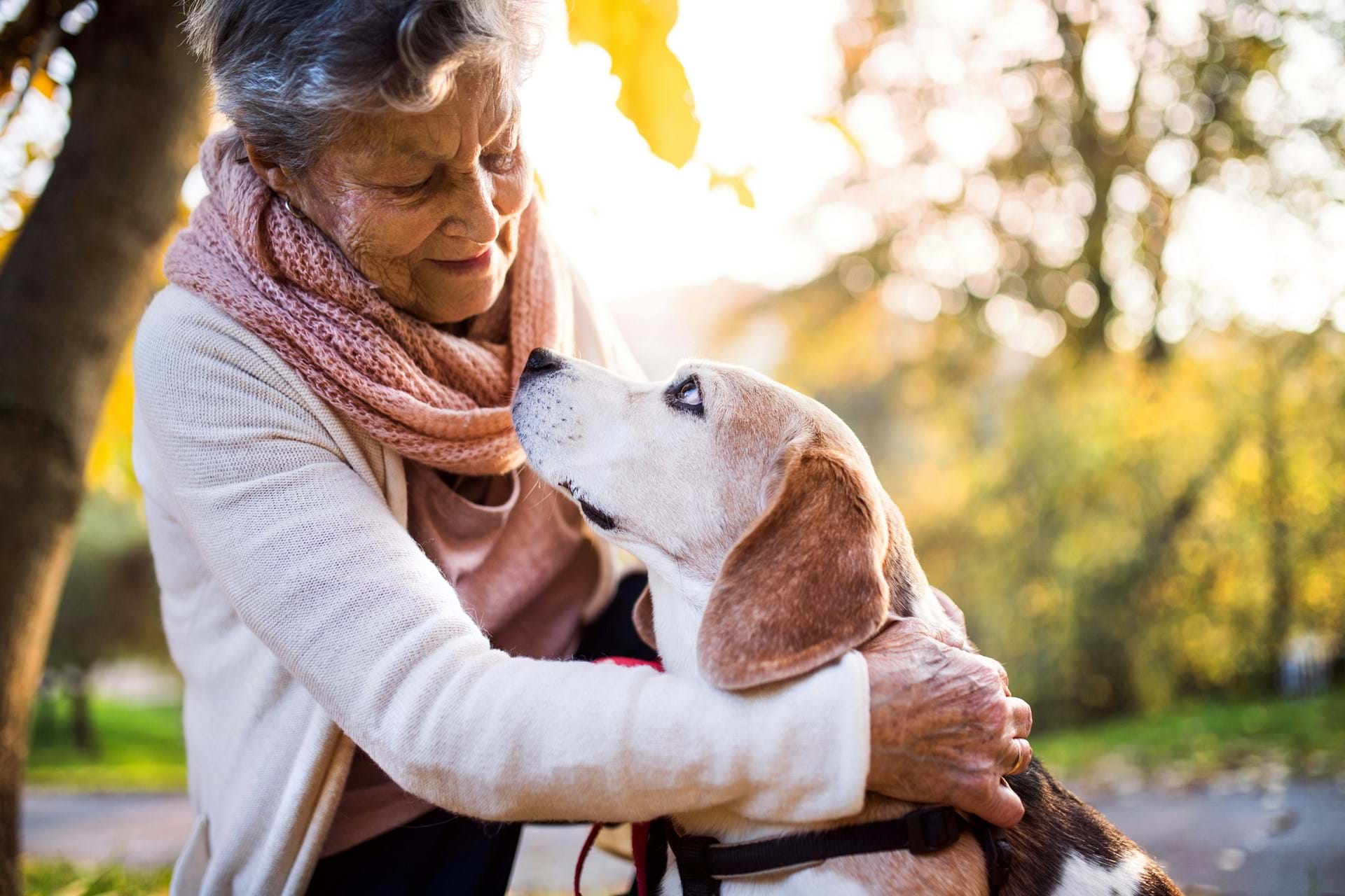 Cherished Pets