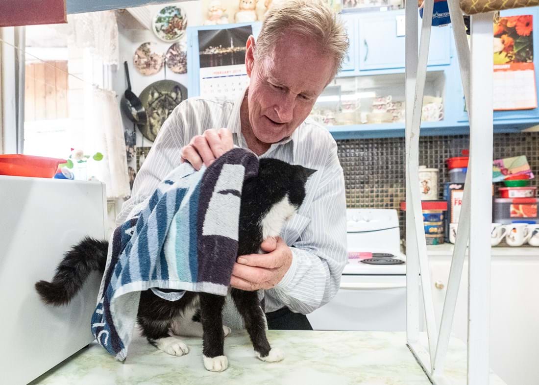 Veterinary Social Work Veterinary Social Work