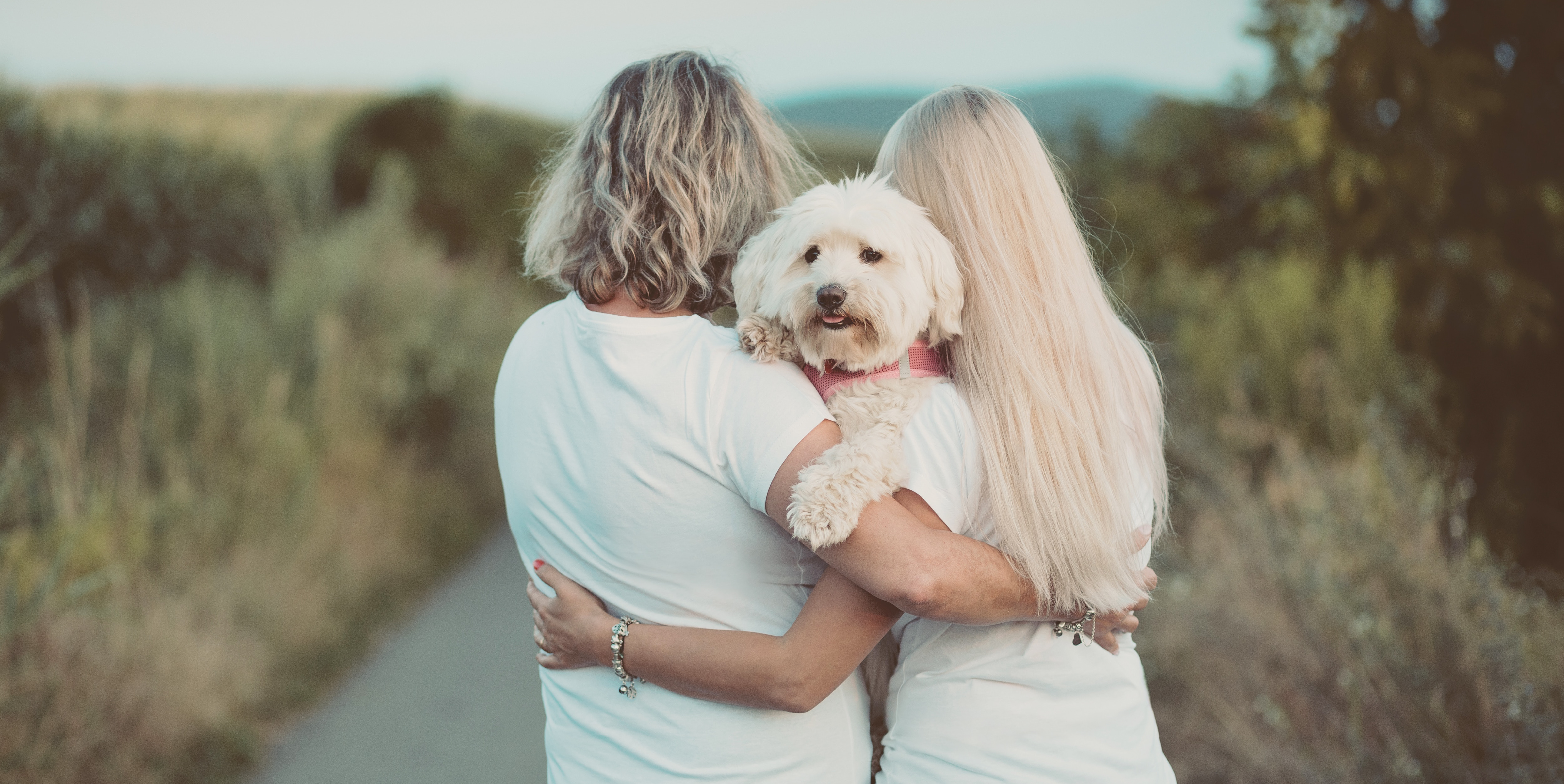 human animal bond cherished pets impact